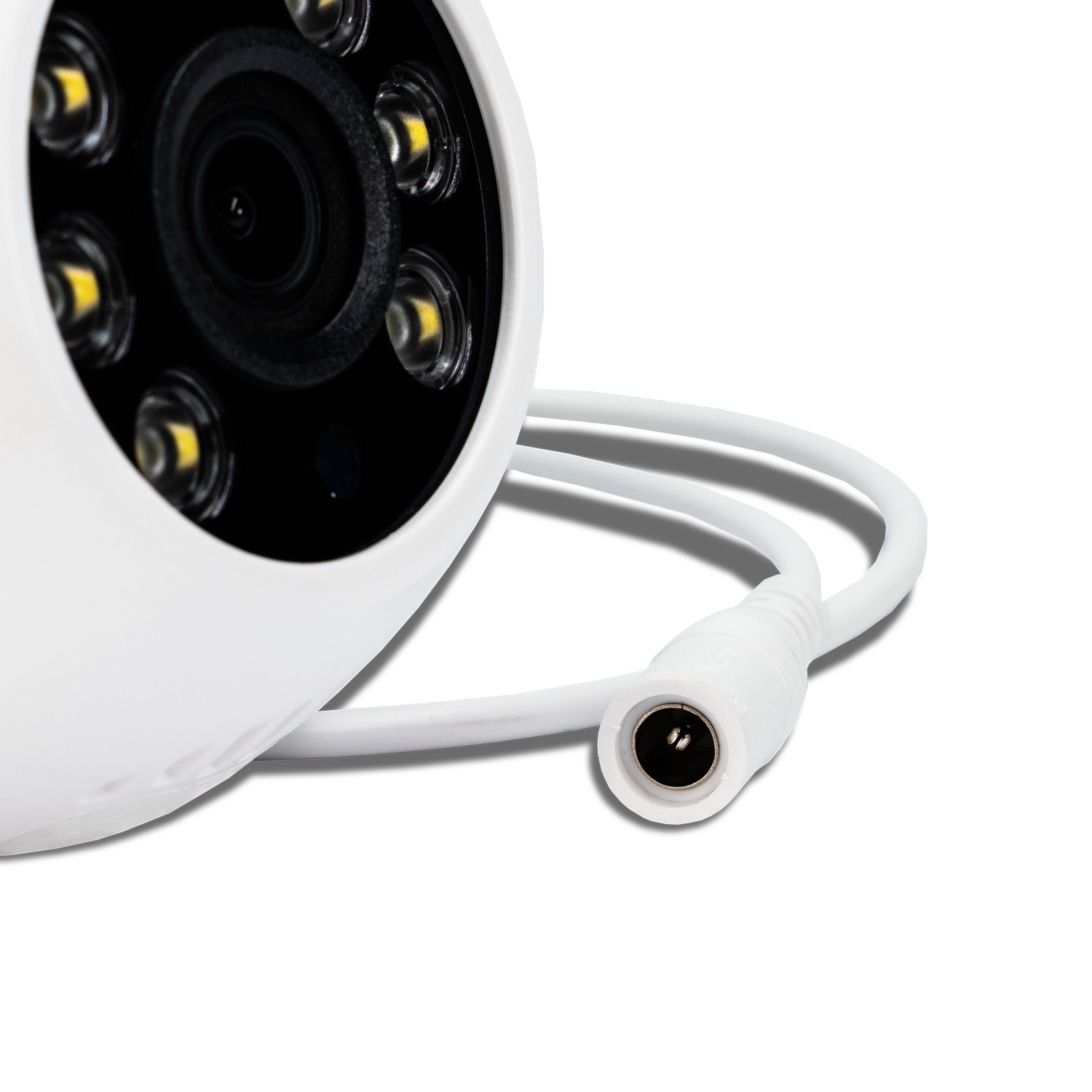 T3169 Dual 2K Cloud Dome Outdoor Security Camera