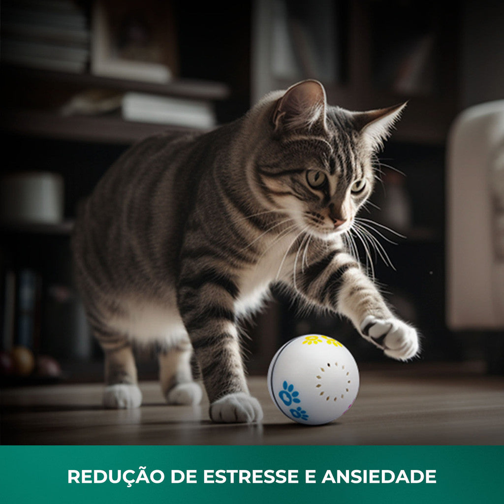 Bolinha Inteligente Pets C/ Porta Petisco Cães E Gatos EKAZA