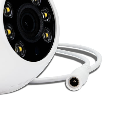 T3169 Dual 2K Cloud Dome Outdoor Security Camera 