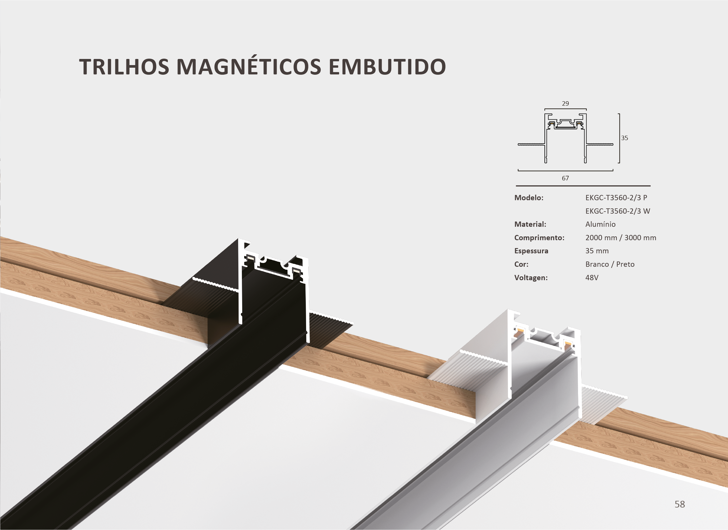 Magnetic Track Embedded Track