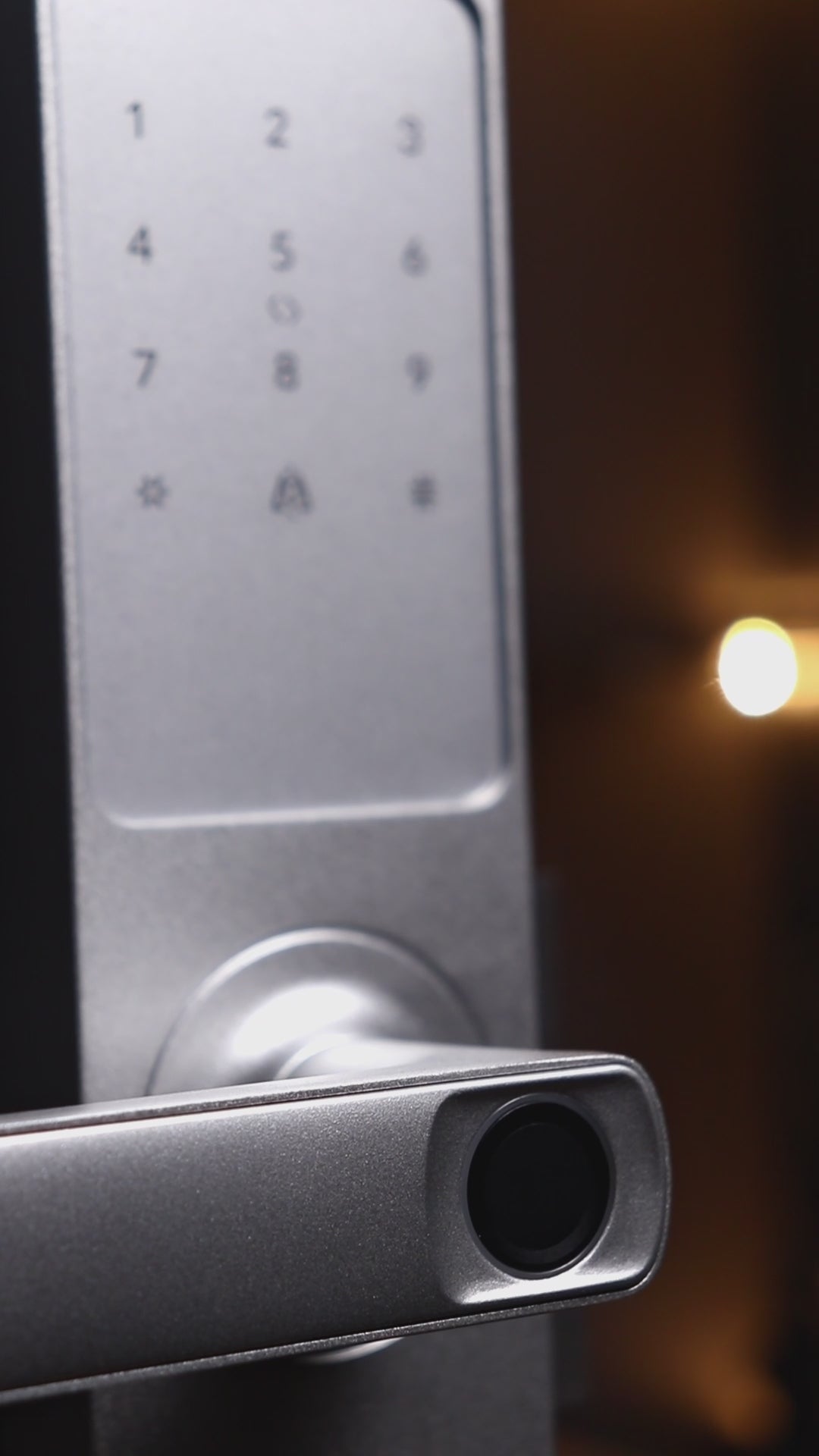 Fechadura Digital Inteligente Senha Cartão Alumínio Cor Prateada Biométrica Lyra Ekmg-t5332 Wifi